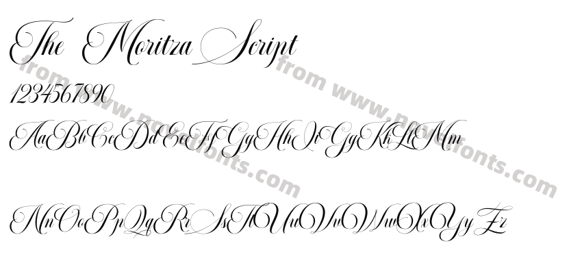 The Moritza ScriptPreview