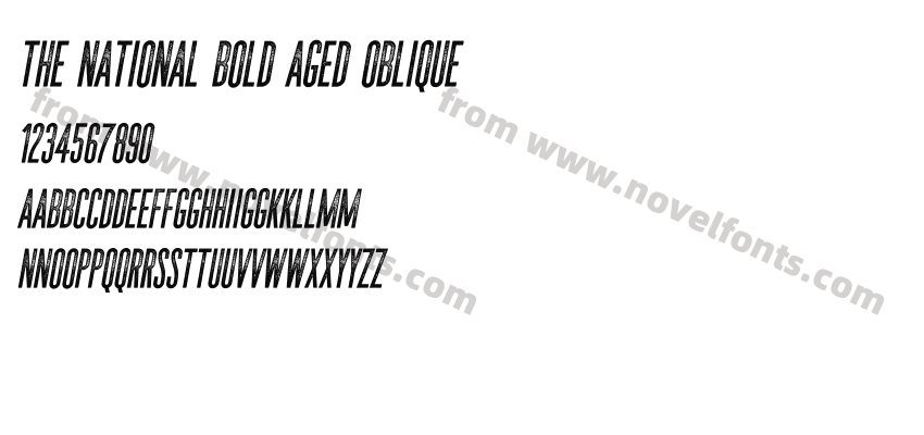 The National Bold Aged ObliquePreview