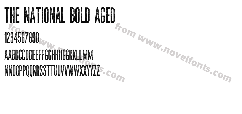 The National Bold AgedPreview