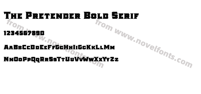 The Pretender Bold SerifPreview