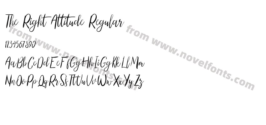 The Right Attitude RegularPreview