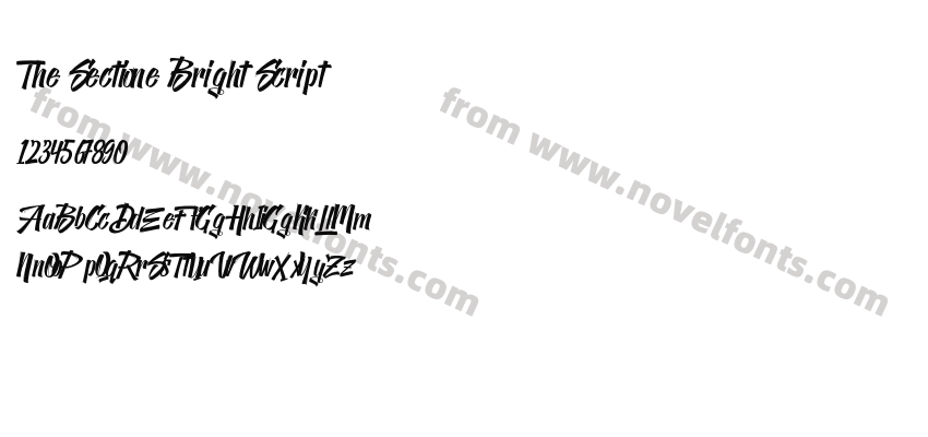 The Sectione Bright ScriptPreview