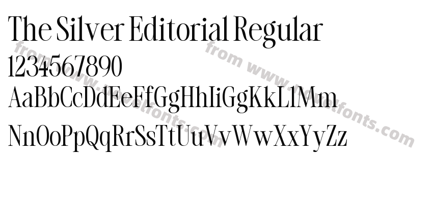 The Silver Editorial RegularPreview