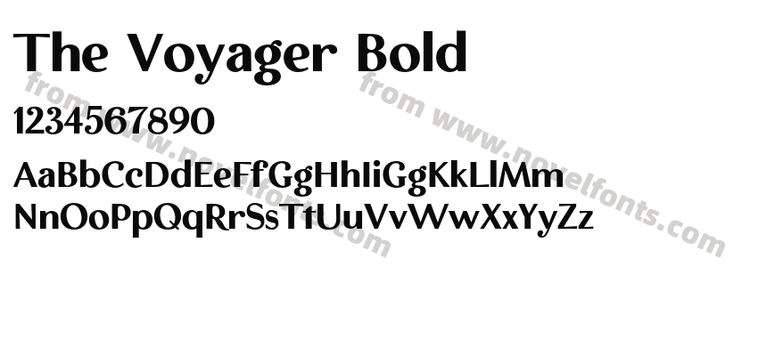 The Voyager BoldPreview