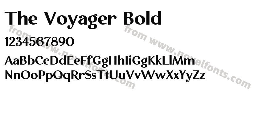 The Voyager BoldPreview