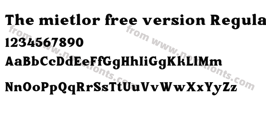 The mietlor free version RegularPreview