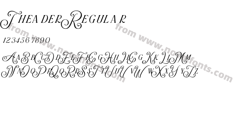 Theader RegularPreview