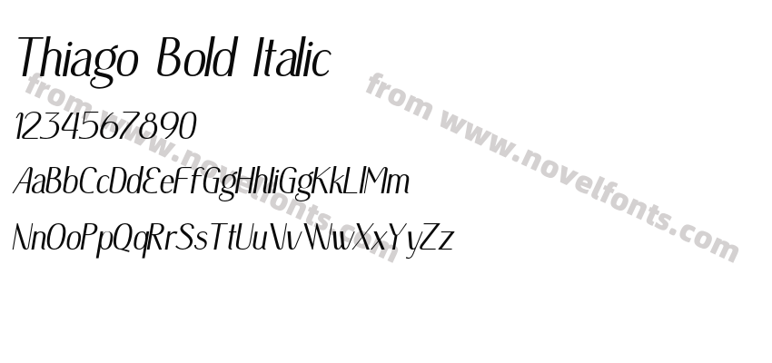 Thiago Bold ItalicPreview