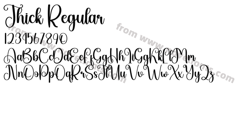 Thick RegularPreview