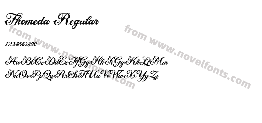 Thomeda RegularPreview