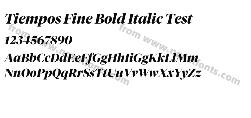 Tiempos Fine Bold Italic TestPreview