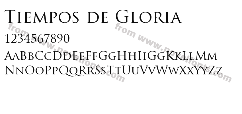 Tiempos de GloriaPreview