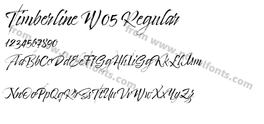Timberline W05 RegularPreview