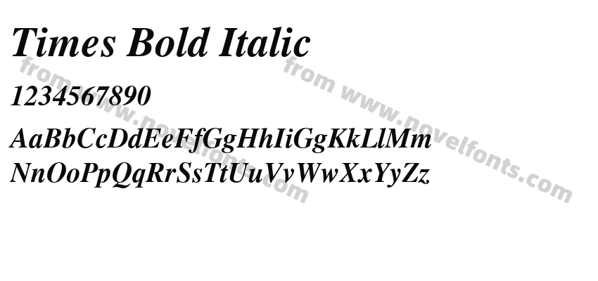 Times Bold ItalicPreview