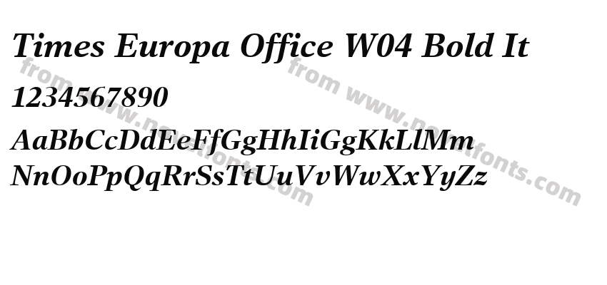 Times Europa Office W04 Bold ItPreview
