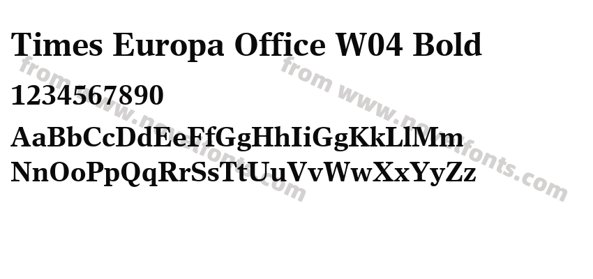 Times Europa Office W04 BoldPreview