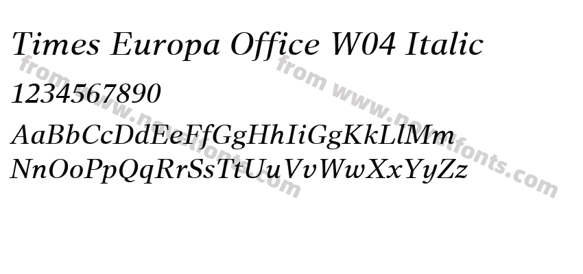 Times Europa Office W04 ItalicPreview