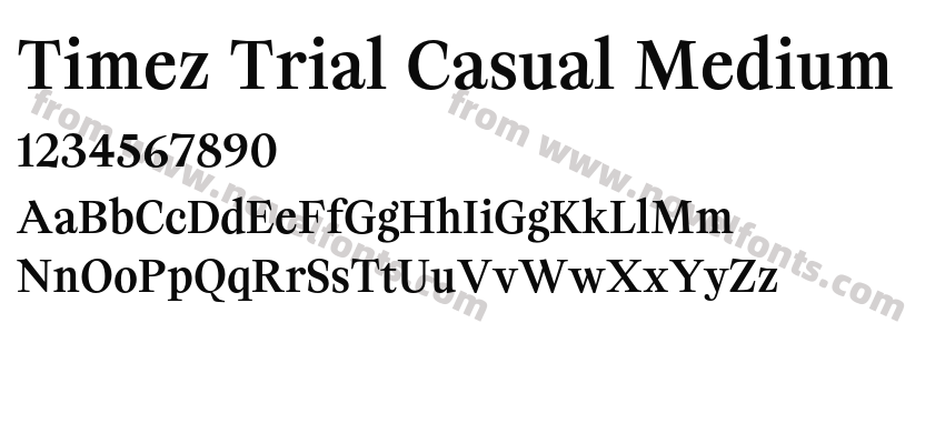 Timez Trial Casual MediumPreview