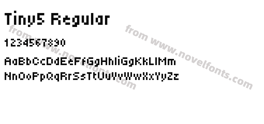 Tiny5 RegularPreview