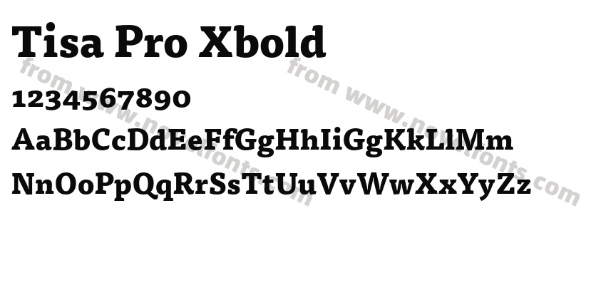 Tisa Pro XboldPreview