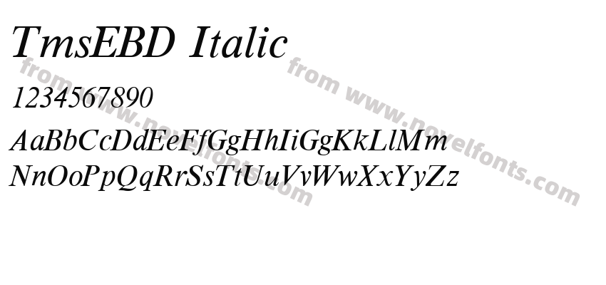 TmsEBD ItalicPreview