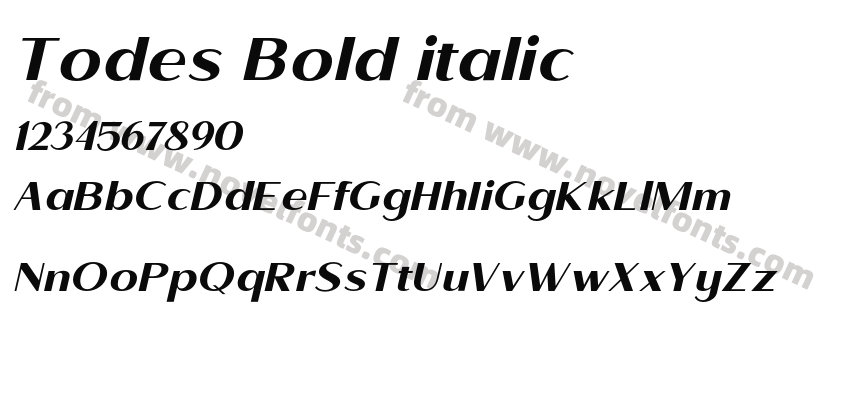 Todes Bold italicPreview