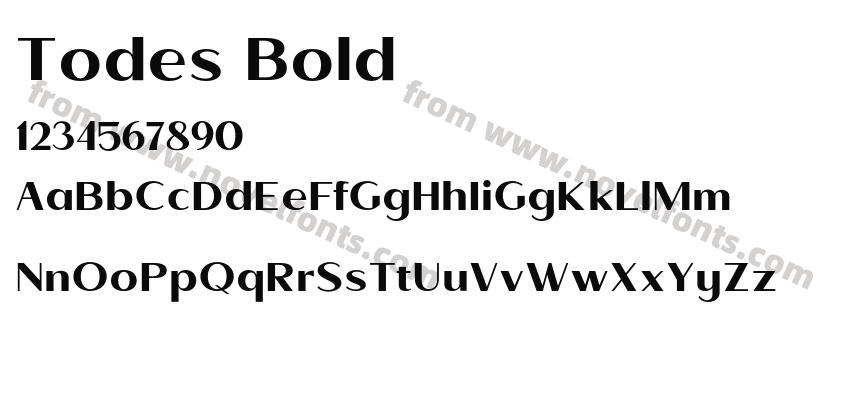 Todes BoldPreview