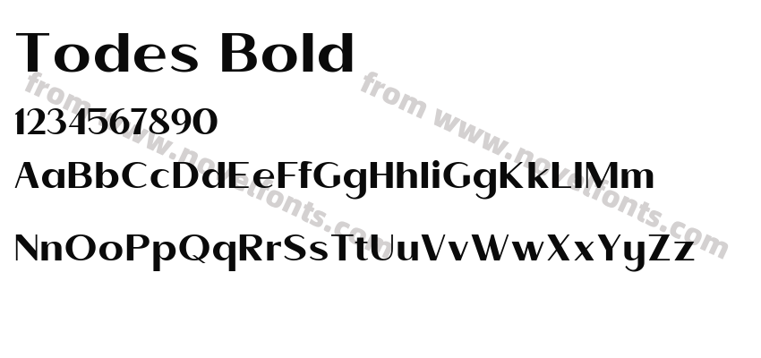 Todes BoldPreview