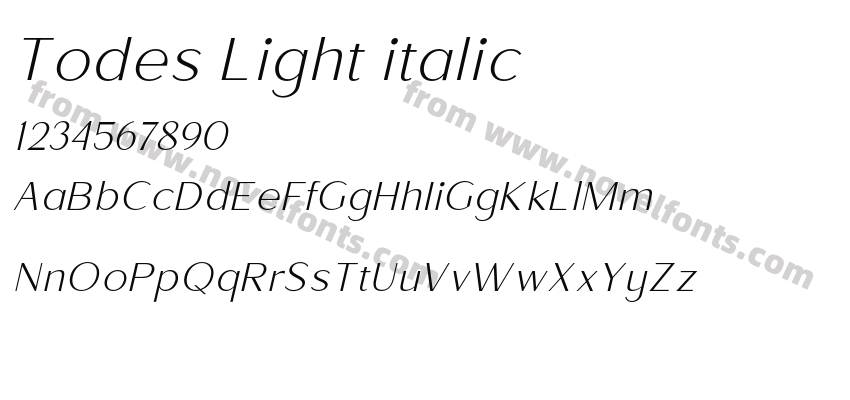 Todes Light italicPreview