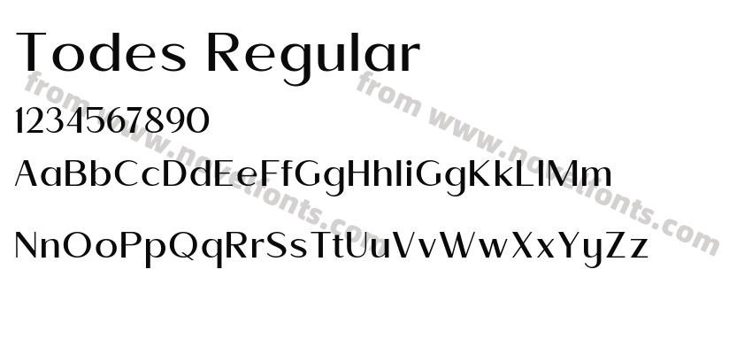 Todes RegularPreview