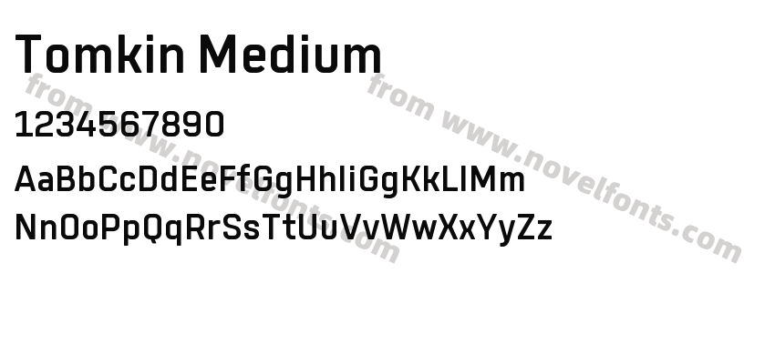 Tomkin MediumPreview