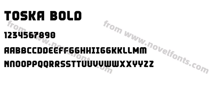 Toska BoldPreview