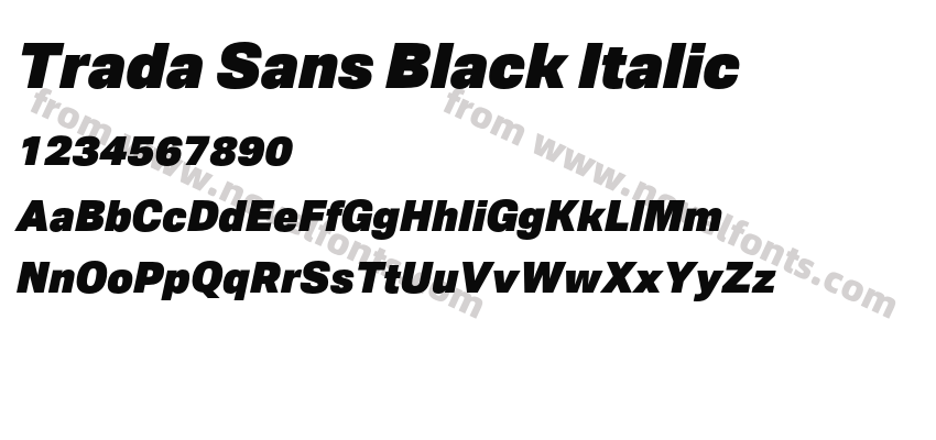 Trada Sans Black ItalicPreview