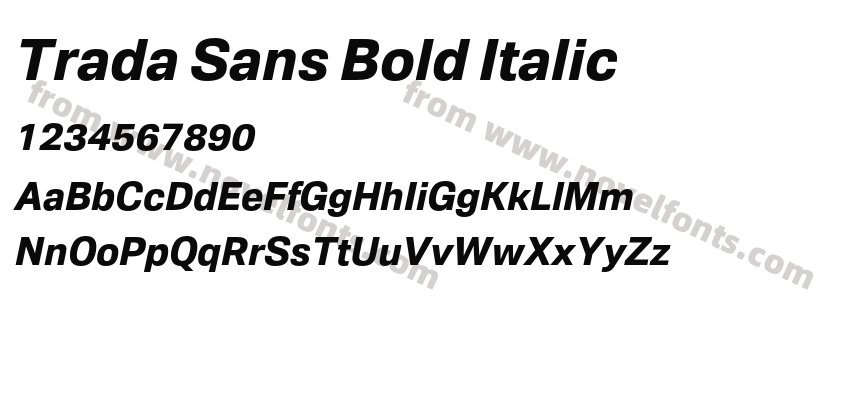 Trada Sans Bold ItalicPreview