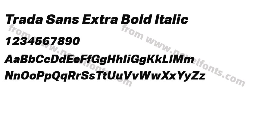 Trada Sans Extra Bold ItalicPreview
