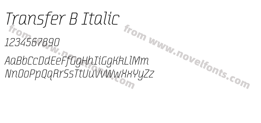 Transfer B ItalicPreview
