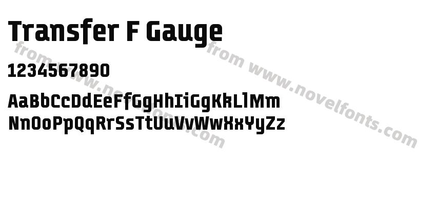 Transfer F GaugePreview