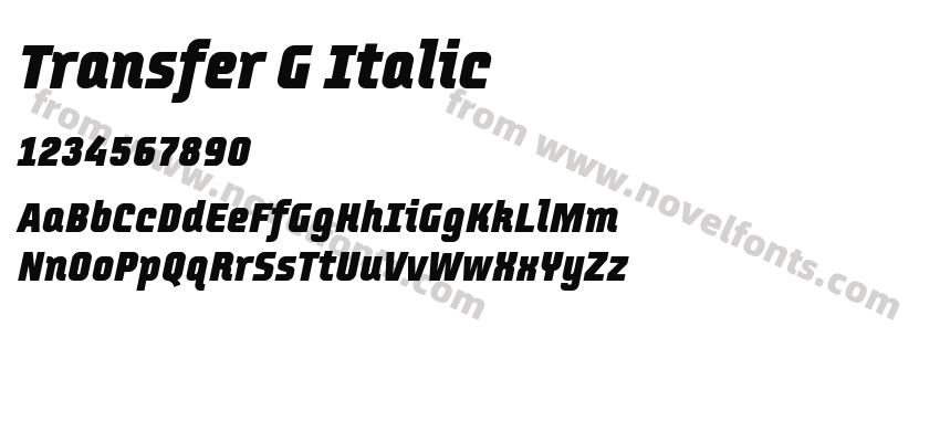Transfer G ItalicPreview