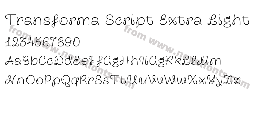 Transforma Script Extra LightPreview
