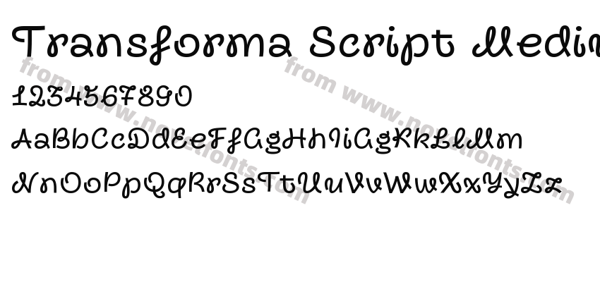 Transforma Script MediumPreview