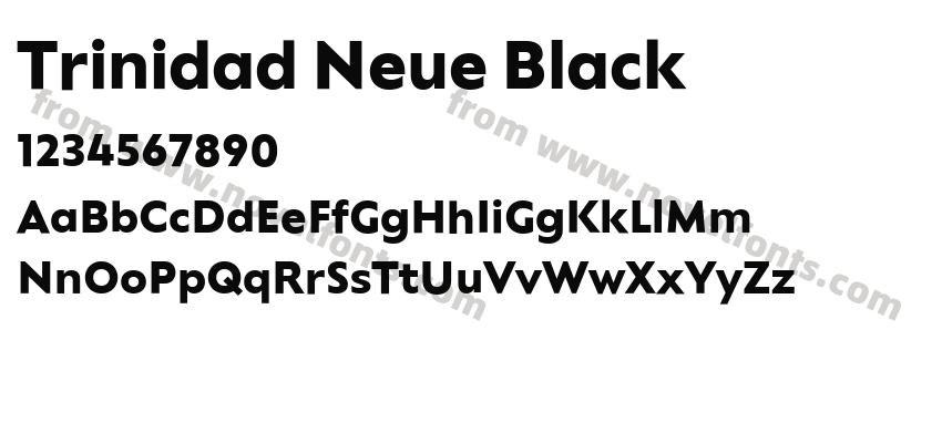 Trinidad Neue BlackPreview