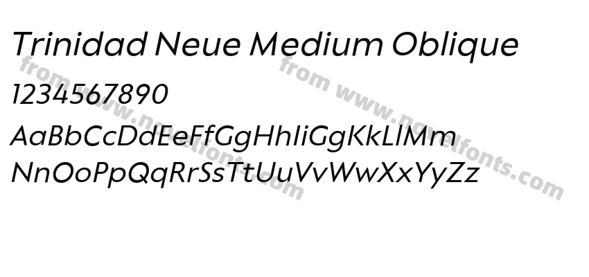 Trinidad Neue Medium ObliquePreview