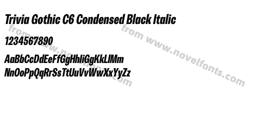 Trivia Gothic C6 Condensed Black ItalicPreview