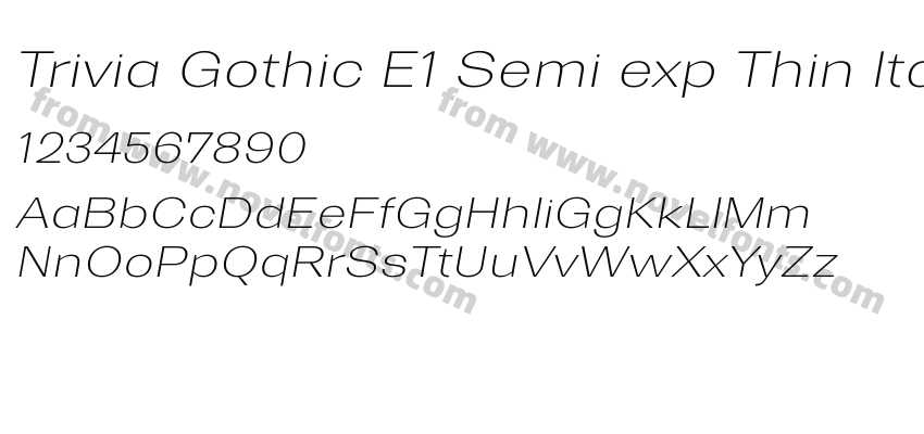Trivia Gothic E1 Semi exp Thin ItalicPreview