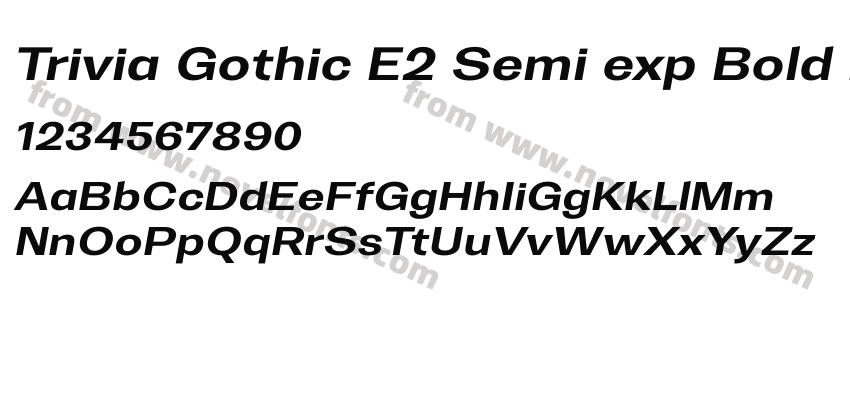 Trivia Gothic E2 Semi exp Bold ItalicPreview