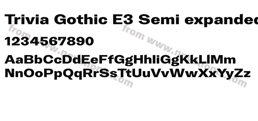 Trivia Gothic E3 Semi expanded HeavyPreview