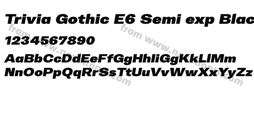 Trivia Gothic E6 Semi exp Black ItalicPreview