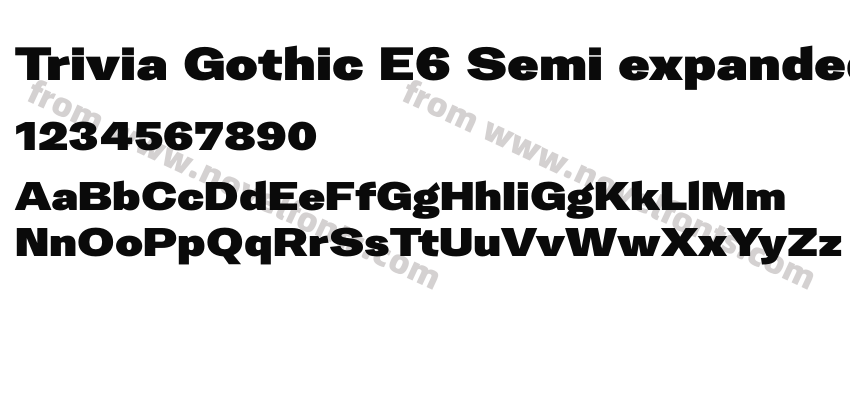 Trivia Gothic E6 Semi expanded BlackPreview
