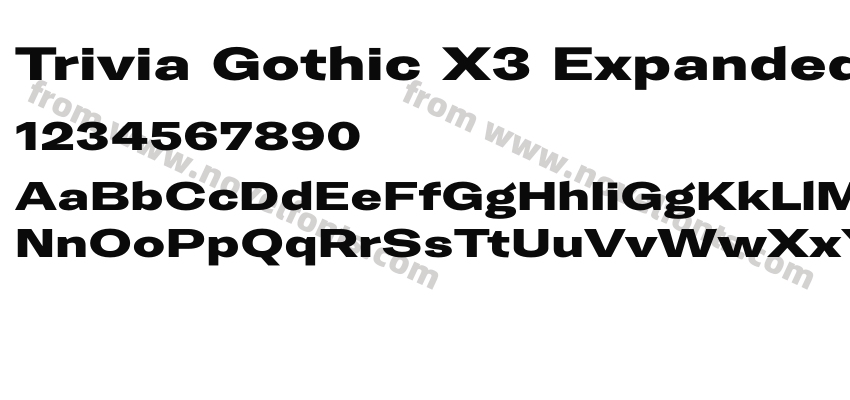 Trivia Gothic X3 Expanded HeavyPreview
