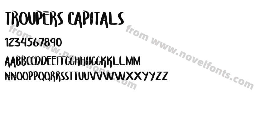 Troupers CapitalsPreview